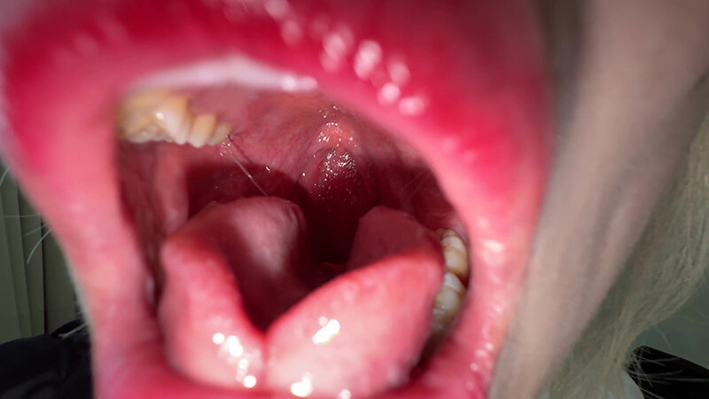 「【安堂はるの】素人お姉さんをナンパ！初体験だらけの刺激的な個人撮影ドキュメント」のサンプル画像5枚目