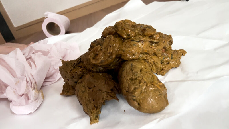 「伊藤のり子のトイレプレイ動画|脱糞・放尿シーンをたっぷり収録した作品」のサンプル画像7枚目