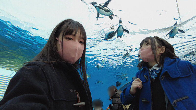 「【ちびとり&ななこ】男の娘レズビアン×アナル解禁!美少女ニューハーフのSNS出会い濃厚プレイ」のサンプル画像6枚目