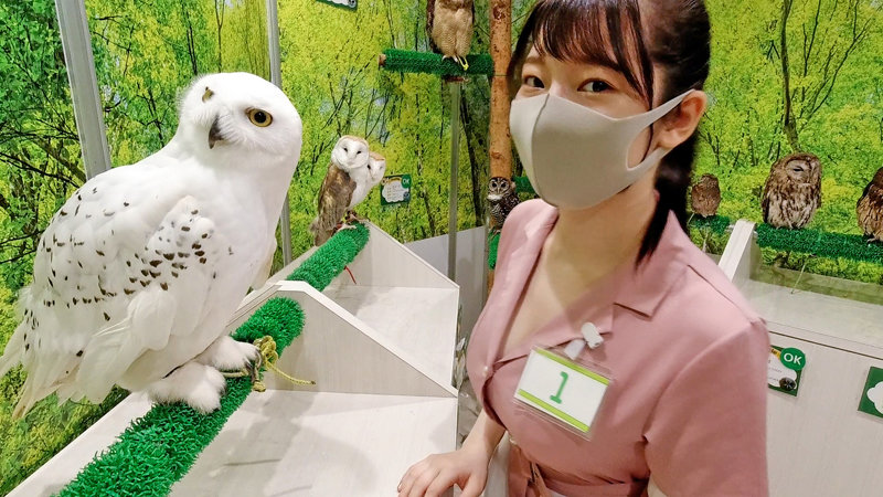 「【巨乳コスプレ】Gカップ美女のパイズリ&ハメ撮り中出しSEX!四つん這いで激しく交わる20歳」のサムネイル